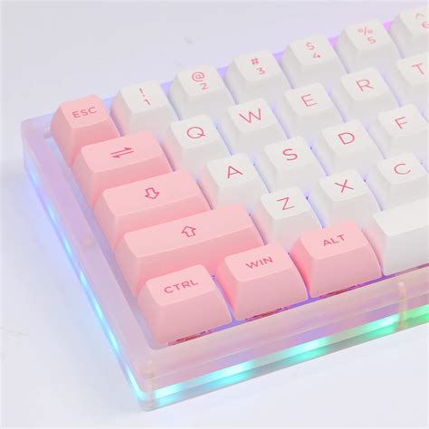 EPOMAKER AKKO ACR61 Prunus Lannesiana 61 Keys Hot Swappable RGB Wired 60% Mechanical Gaming ...