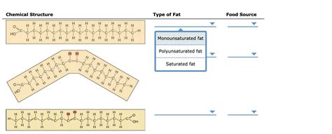 Monounsaturated Fat Structure