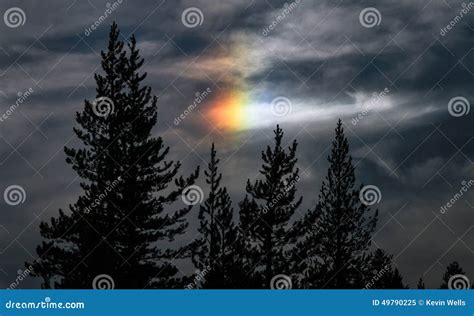 Sun Dog Phenomenon stock image. Image of color, tree - 49790225