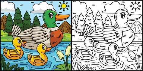 Mother Duck and Duckling Coloring Illustration 23851354 Vector Art at ...