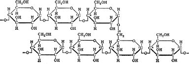 Polysaccharide | Definition, Types & Examples - Lesson | Study.com