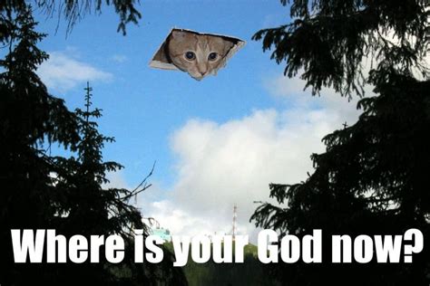 [Image - 8039] | Ceiling Cat | Know Your Meme