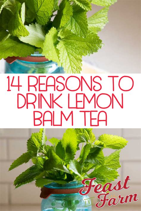 14 Lemon Balm Benefits (Plus Tea!) | Recipe | Lemon balm benefits, Lemon balm tea, Herbs for health