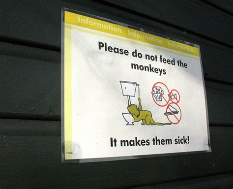 15 Funny Animal Signs | Infolific