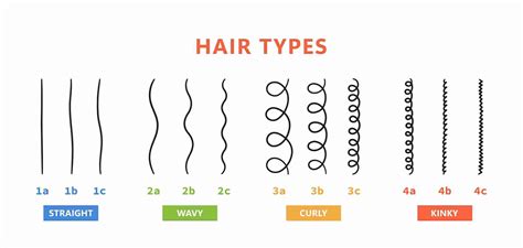 What Is 4C Hair | Hair Care Guide To Coily Hair Types - Hair Everyday Review