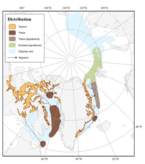 narwhal-distribution-grom-latest - NAMMCO