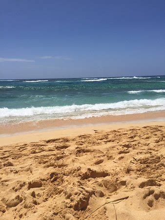 Kiahuna Beach (Kauai) - 2018 All You Need to Know Before You Go (with Photos) - TripAdvisor