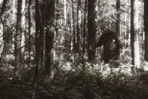 Bigfoot's FBI File Reveals Strange Story of a Monster Hunter and 15 ...