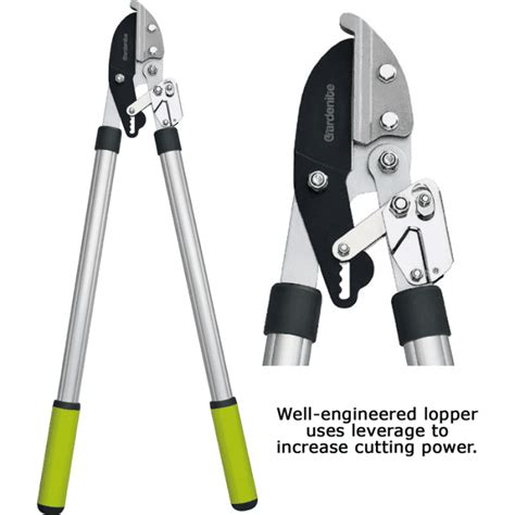 The 10 Best Manual Pole Pruners and Loppers for Tree Trimming - Dengarden