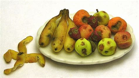 Rotten fruit platter | Fruit, Rotten fruit, Fruit platter