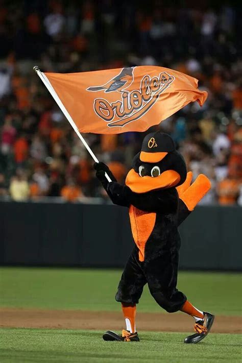 Pin by Camelia Pace on LIKES!!!! | Baltimore orioles baseball, Orioles baseball, Baltimore orioles