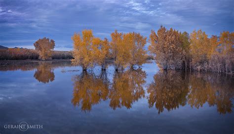 Bosque Del Apache Reflections | Geraint Smith Photography