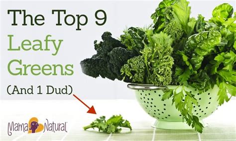 The Top 9 Leafy Greens (And 1 Dud) | Mama Natural