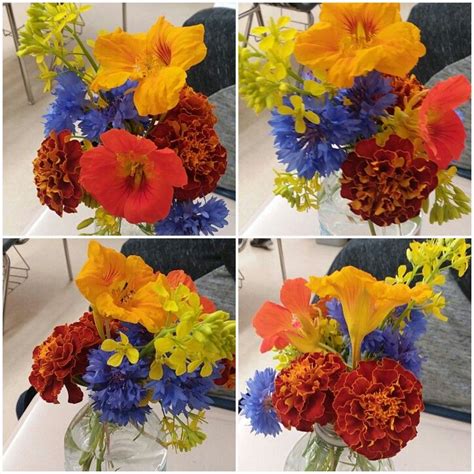 nasturtium, bachelor's button, marigold, and mustard flowers. | Flower arrangements, Mustard ...