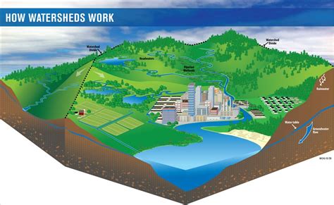 Blueprint for Watershed Collaboration - Purpose of Watershed Protection