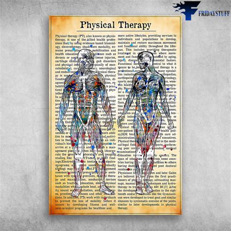 Physical Therapy Anatomy Of Human Body Physical Therapist Fanatics ...