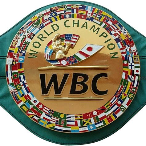 WBC WBA WBO IBF IBO Championships Boxing Belt Adult 5 Belts Set Premium ...