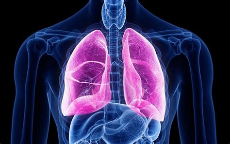 Chronic Respiratory Disease – Echelon Health