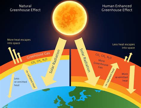 Why is the World Warming: An Introduction to Climate Change and Impact ...