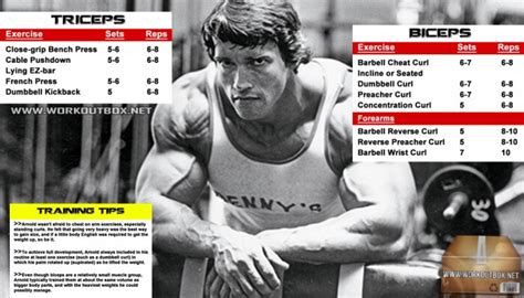 Arnold Biceps And Triceps Workout Routine - Schwarzenegger Plan ...