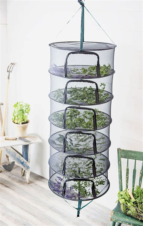 Drying Herbs Easily: Best Hacks and 4 Methods Compared - A Piece Of Rainbow