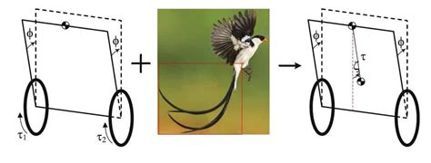 A robot near you might soon have a tail to help with balance