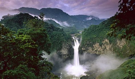 Explaining Tropical Forests' Astonishing Biodiversity | Inside Science