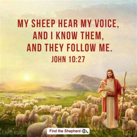 John 10:27. My sheep hear my voice, and I know… | by Tuzi M | Medium