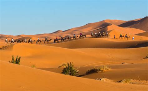 5 of the Best Morocco Desert Tours