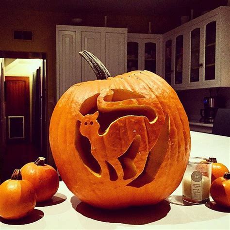Black Cat Pumpkin Carving Pictures, Photos, and Images for Facebook, Tumblr, Pinterest, and Twitter