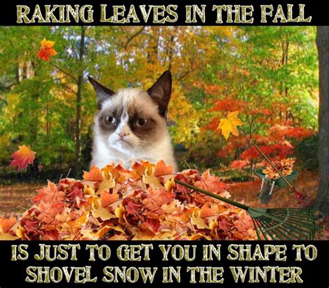 Grumpy Cat Says Raking Leaves In The Fall Is Just To Get You In Shape To Shovel Snow In The ...