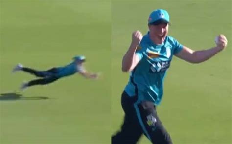 WBBL 2022: Watch Brisbane Heat player takes catch of the season ...