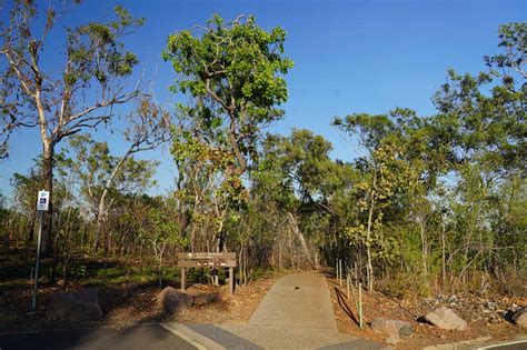 Buley Rockhole - Croc-free Swimming & Cascades in Litchfield