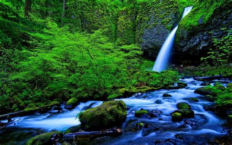 Waterfall And Stream Green Forest Rocks Green Moss Green Nature ...