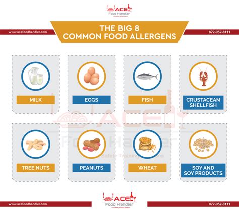 The Big 8 Common Food Allergens | Ace Food Handler