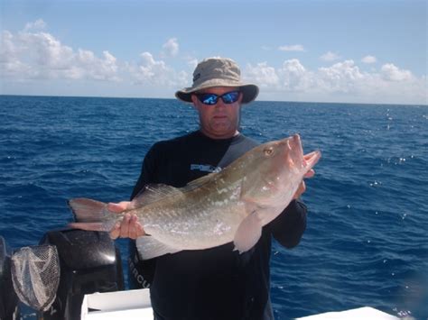 Red Grouper Fishing in the Florida Keys