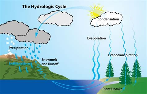 Water Cycle Diagram for 5th Grade