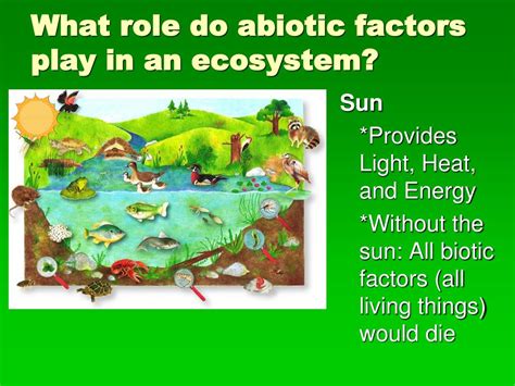 PPT - Page 156 March 4, 2013 Focus : Abiotic and Biotic Factors, Photosynthesis PowerPoint ...