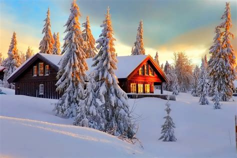 Download Cabin Tree Forest House Snow Photography Winter HD Wallpaper