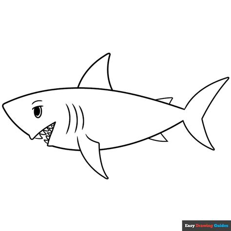 How To Draw A Shark Step By Step For Kids