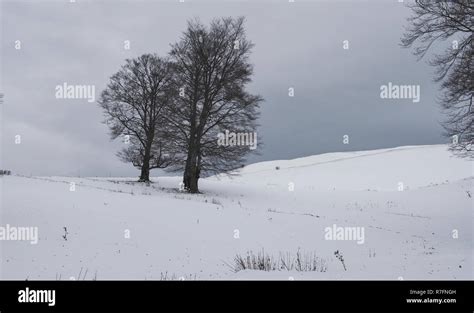 winter landscape in Europe Stock Photo - Alamy