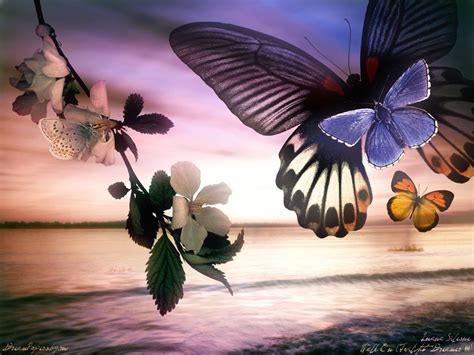 Pictures of Moving Butterfly Screensaver Free download | Wallpaper ...