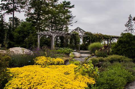 Coastal Maine Botanical Gardens 25 | Coastal Maine Botanical… | Flickr