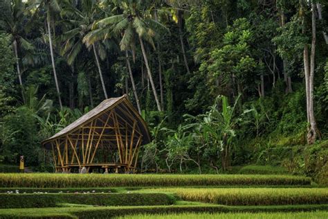 Four Seasons in Ubud, Bali: if it’s good enough for the Obamas ...