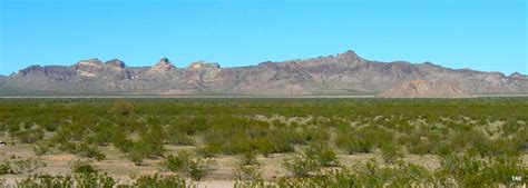 Big Horn Mountains Wilderness | BLM Sites in Arizona