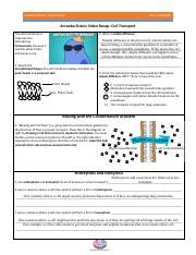 Cell Transport- Ameoba Sisters .pdf - AMOEBA SISTERS: VIDEO RECAP CELL TRANSPORT Amoeba Sisters ...