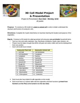 3D Cell Model Project Instructions/Rubric | TPT