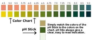 pH Test Strips, 90 Strips