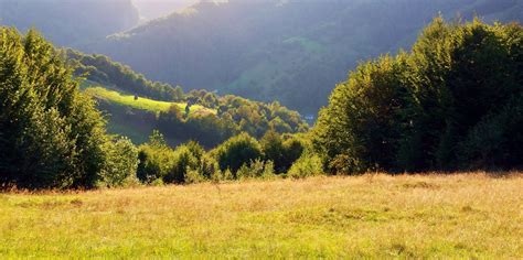 Hillside Sunset Free Stock Photo - Public Domain Pictures