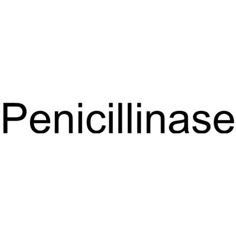 Penicillinase (from calf stomach) | Penicillinase | MedChemExpress